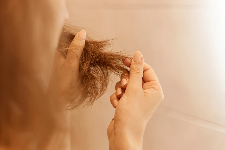 The Major Causes of Hair Breakage and The right way to Stop It
– Iles Components The Major Causes of Hair Breakage and The right way to Stop It
– Iles Components