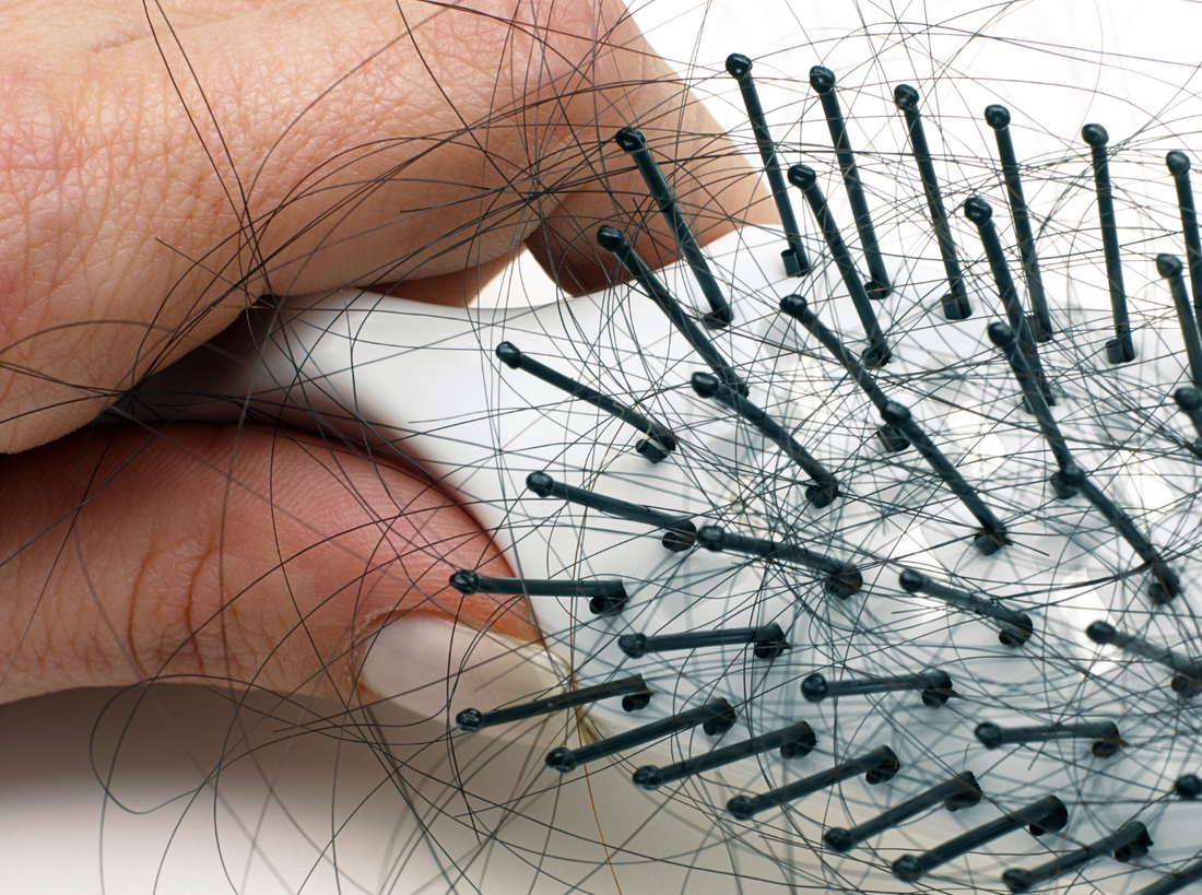 Hair loss on brush