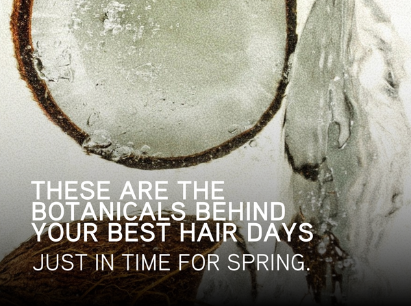 The Botanicals Behind Every Good Hair Day