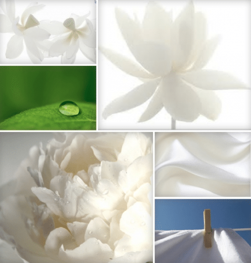 Lets Speak about the Perfume inside Iles Formula.