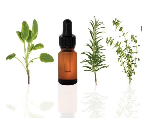 4 Best Essential Oils That Can Make Your Hair Grow Faster