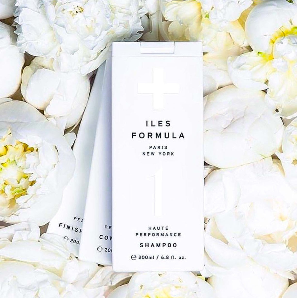 SIGNATURE COLLECTION