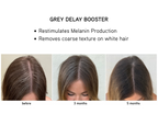 Before and after effects of a grey delay booster on hair, showing restimulation of melanin production.
