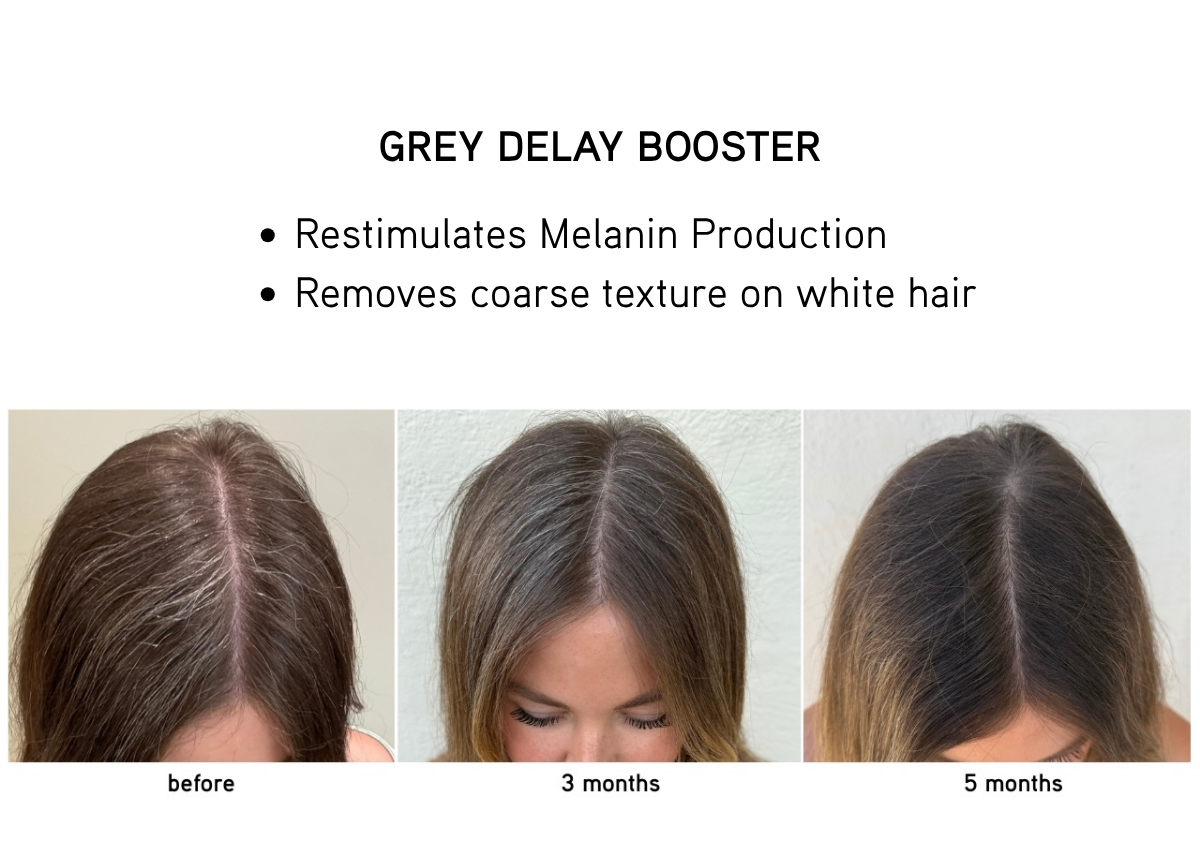 Before and after effects of a grey delay booster on hair, showing restimulation of melanin production.