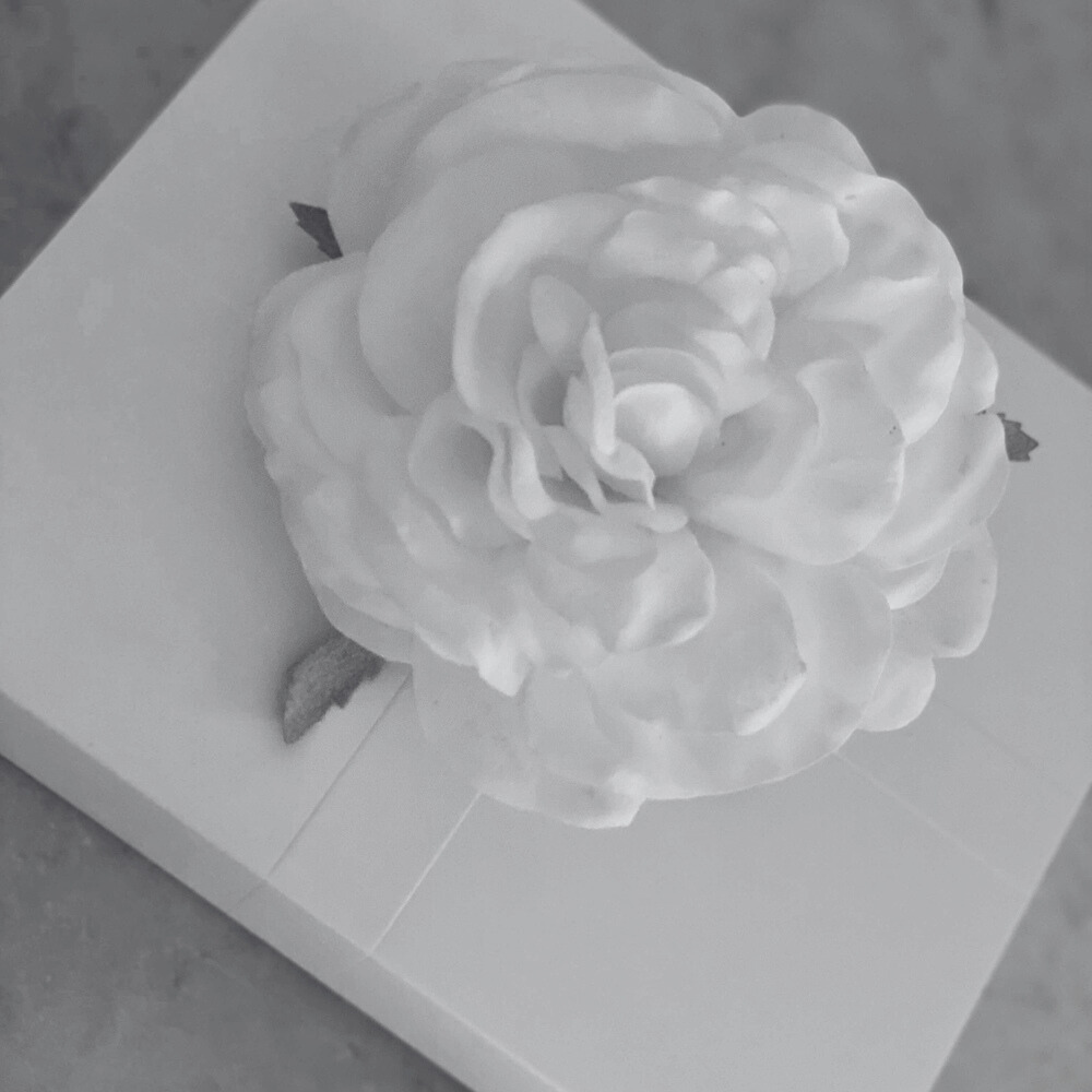 iles formula gift box with flower